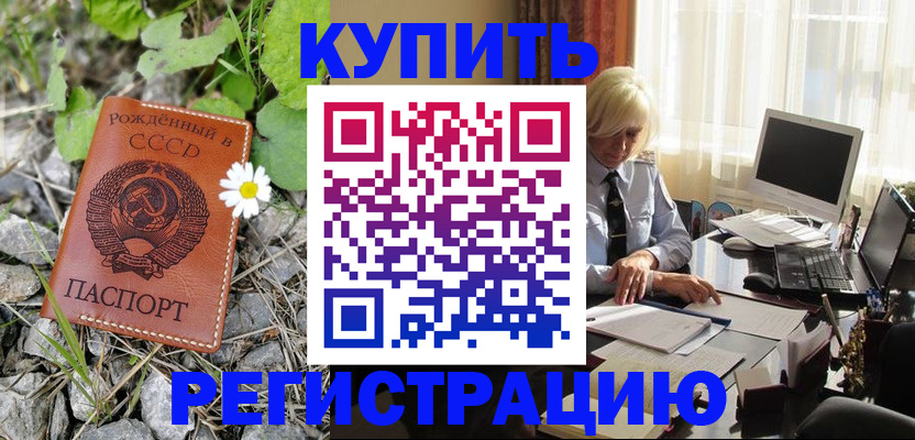 временная регистрация поиск в Алтае
